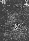 THE TWO GIRLS NEAR THE SPOT WHERE THE LEAPING FAIRY WAS TAKEN IN 1920