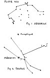 Plate VIII. Fig. 1: Aquarius. Fig. 2: Taurus